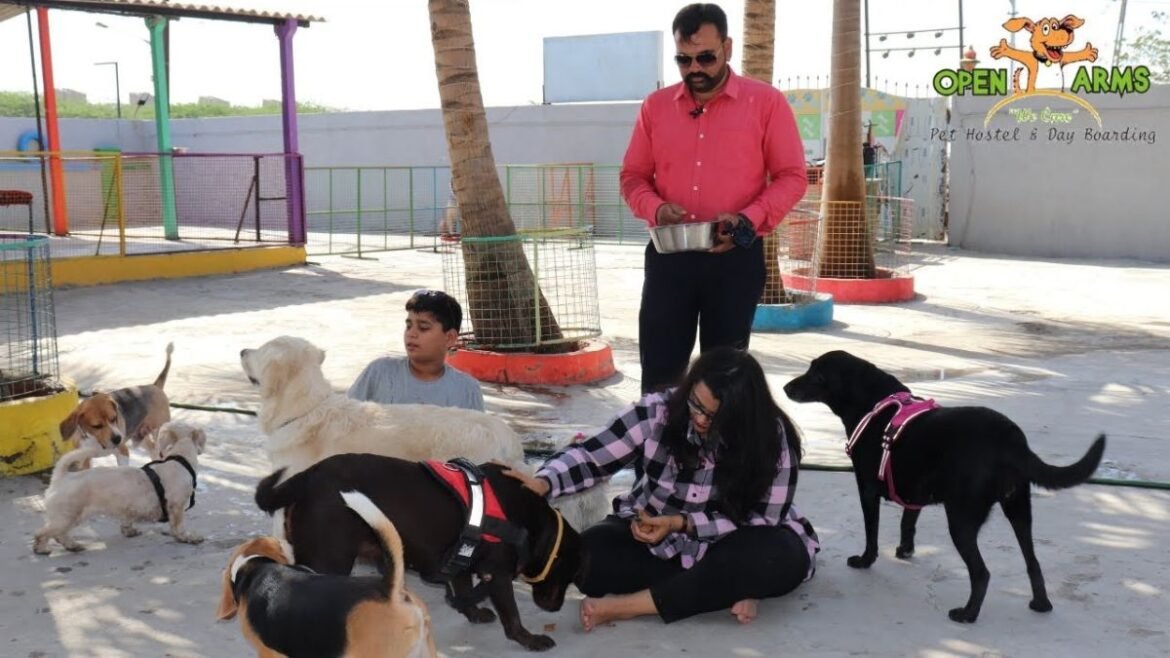 Surat : Pet Hostels Brimming With Canines During Diwali Vacation